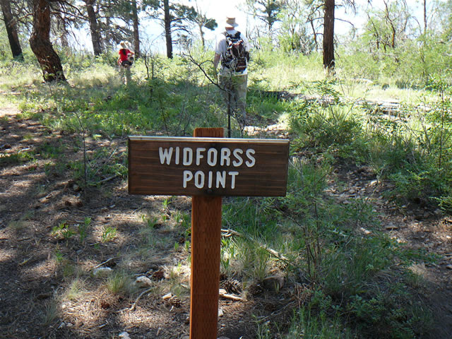 images/Hiking North Rim- Widforss Trail (15).jpg